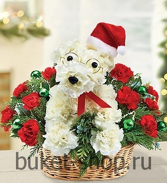   50. .   BUKET-SHOP.RU