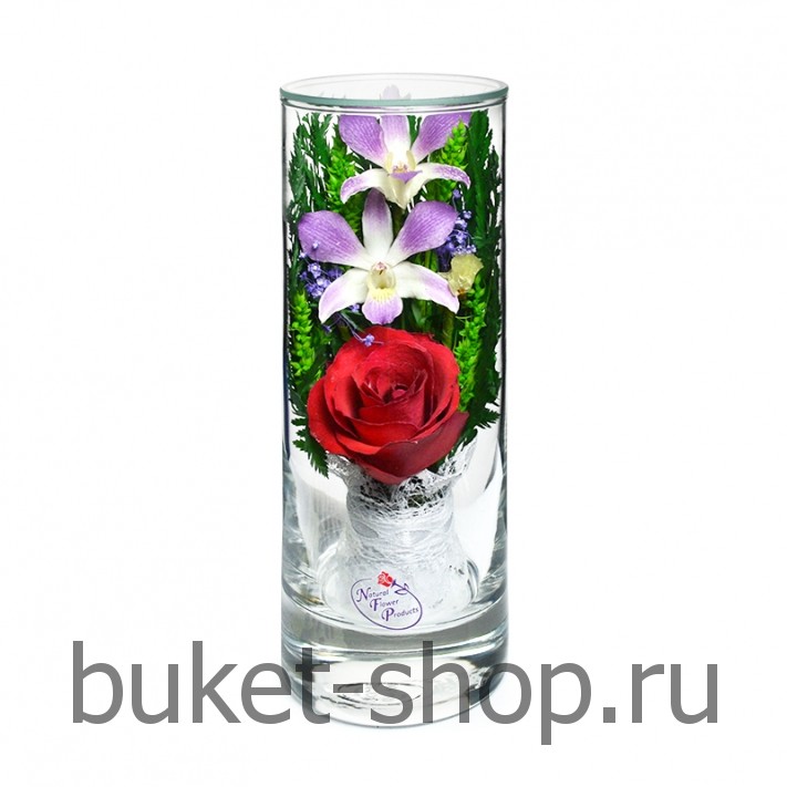 ����, �������. . �������� ������ BUKET-SHOP.RU