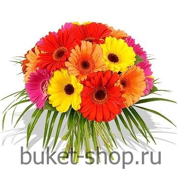 . , .   BUKET-SHOP.RU