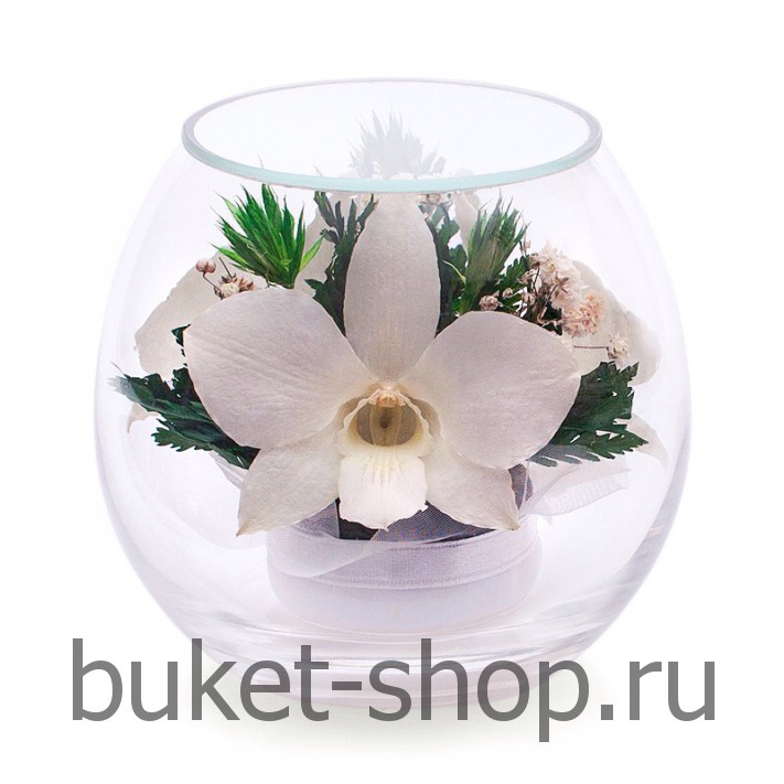      . .   BUKET-SHOP.RU