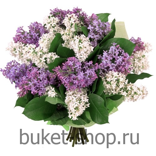 . .   BUKET-SHOP.RU