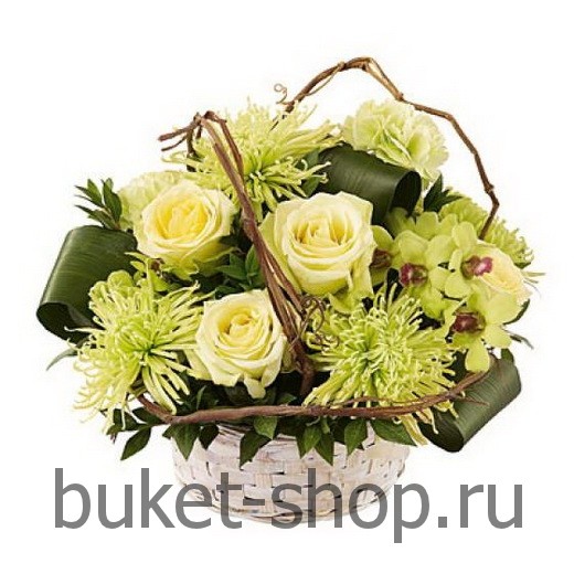   48. , , .   BUKET-SHOP.RU