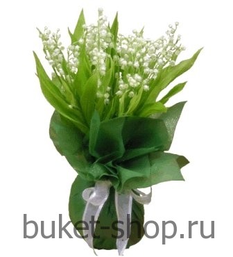  . .   BUKET-SHOP.RU