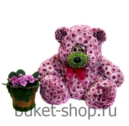 �����. ����������. �������� ������ BUKET-SHOP.RU