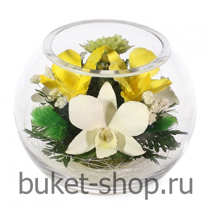 �������. . �������� ������ BUKET-SHOP.RU