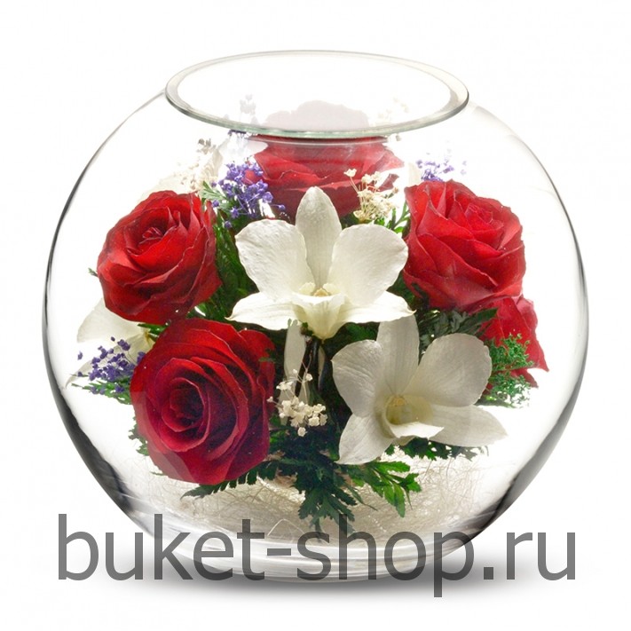       . ,  .   BUKET-SHOP.RU