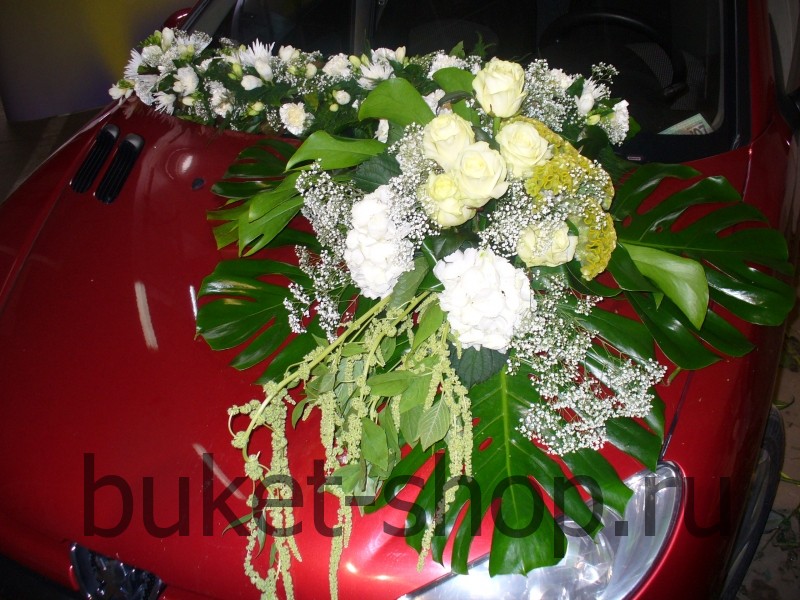 ���������� �� ����. ����, ����������. �������� ������ BUKET-SHOP.RU