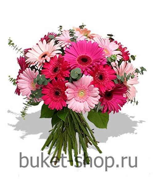 . .   BUKET-SHOP.RU