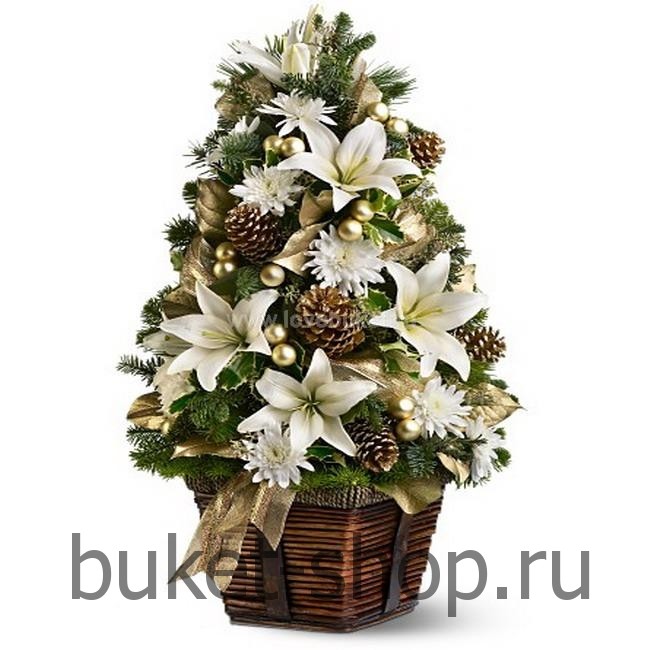 ���������� ���������� �14. �����, ���. �������� ������ BUKET-SHOP.RU