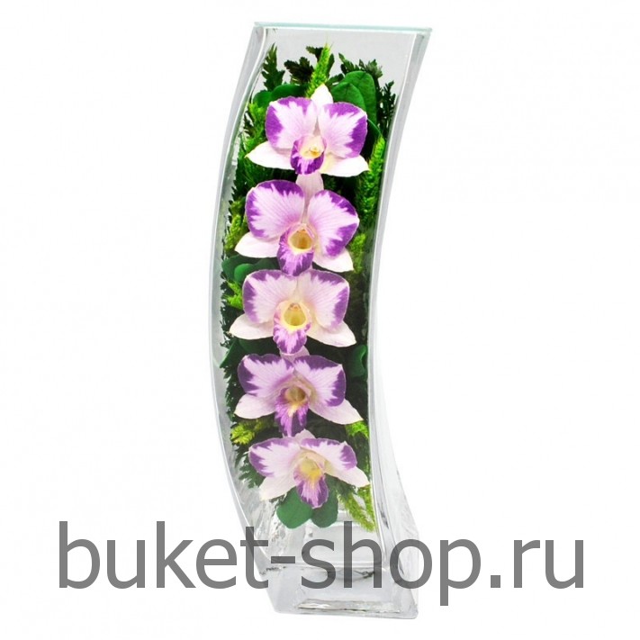 . .   BUKET-SHOP.RU