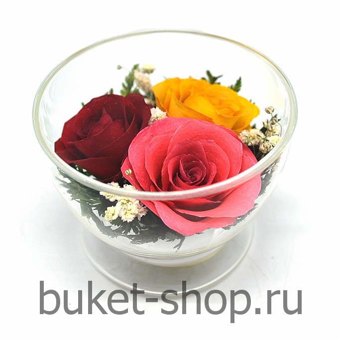 ����. . �������� ������ BUKET-SHOP.RU