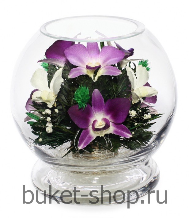 �������. . �������� ������ BUKET-SHOP.RU