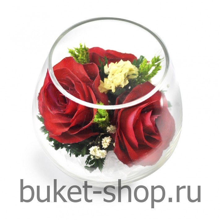 ���������� � ������� �� ����� ������. ����. �������� ������ BUKET-SHOP.RU