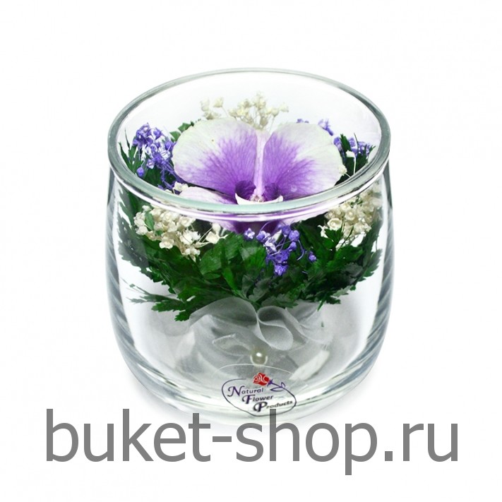 �������. . �������� ������ BUKET-SHOP.RU