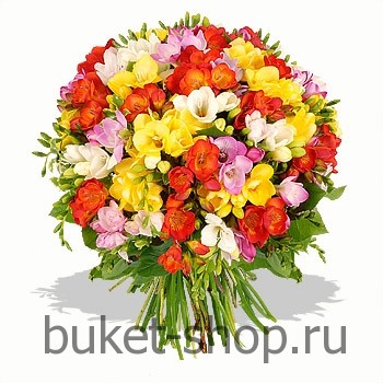 . .   BUKET-SHOP.RU