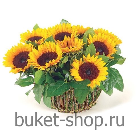  . .   BUKET-SHOP.RU