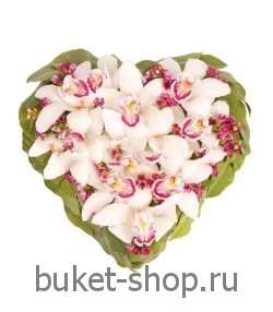   . , .   BUKET-SHOP.RU