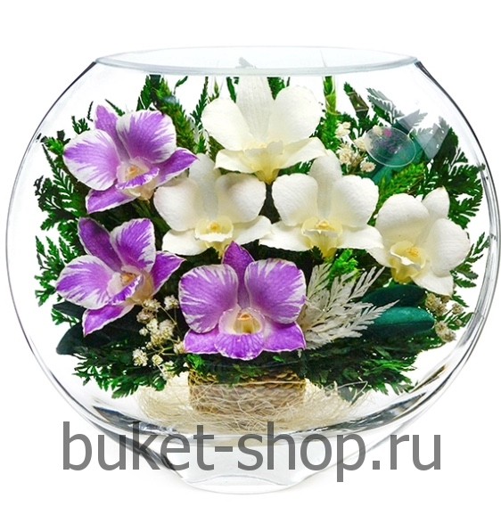 . .   BUKET-SHOP.RU