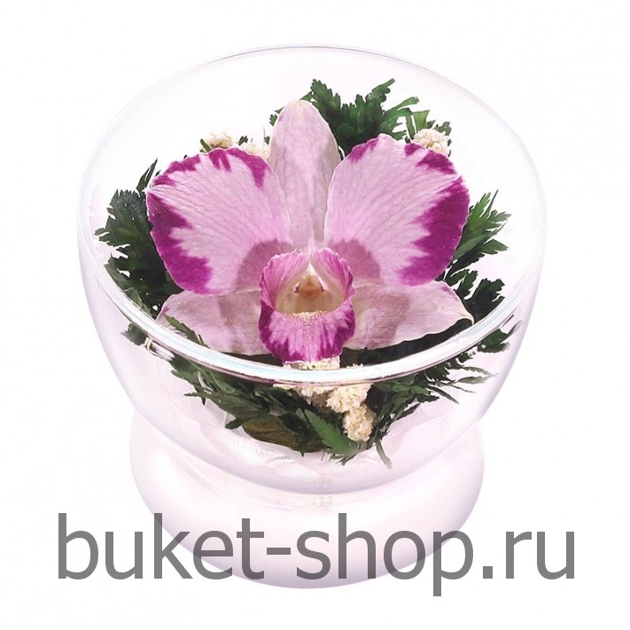 �������. . �������� ������ BUKET-SHOP.RU