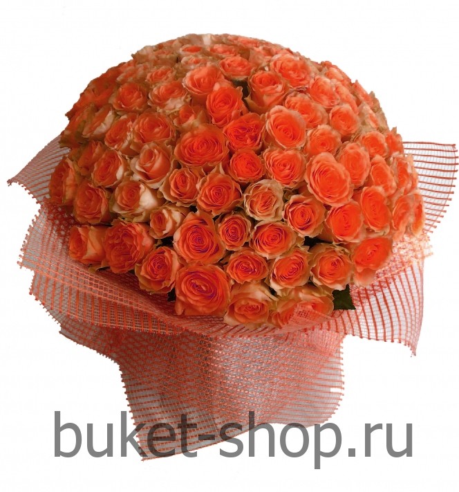 101  . .   BUKET-SHOP.RU