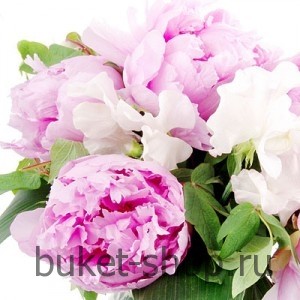 �����. �����. �������� ������ BUKET-SHOP.RU