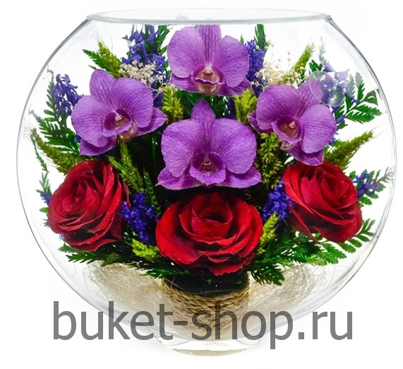 ����. . �������� ������ BUKET-SHOP.RU