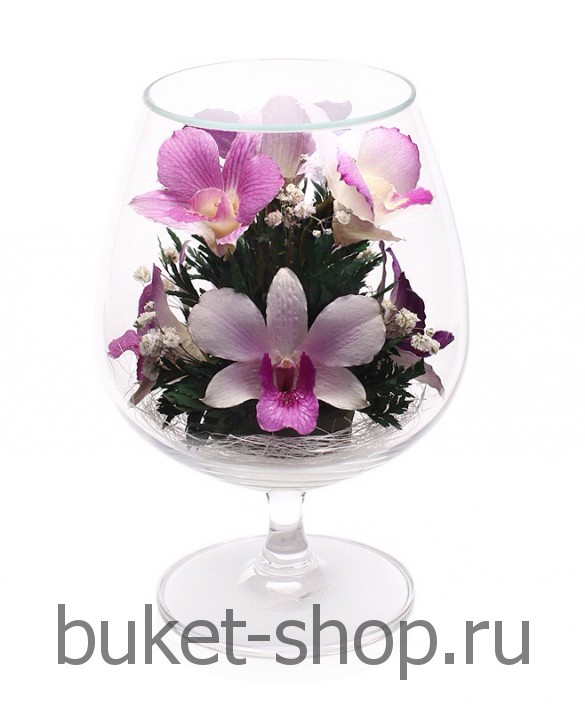      . .   BUKET-SHOP.RU