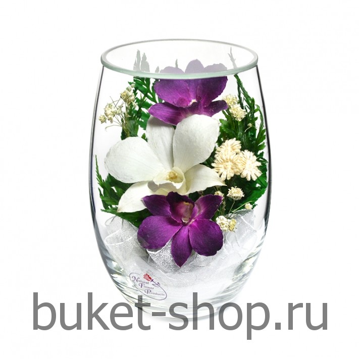       .  .   BUKET-SHOP.RU