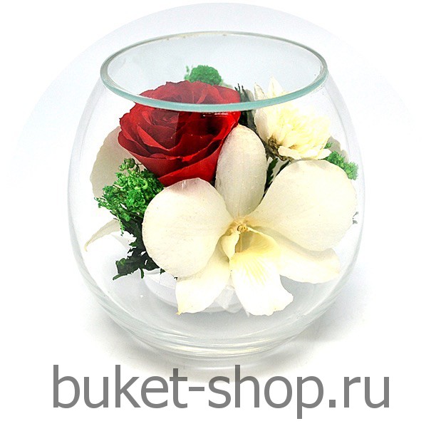       . , .   BUKET-SHOP.RU