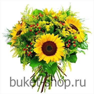  . , , .   BUKET-SHOP.RU