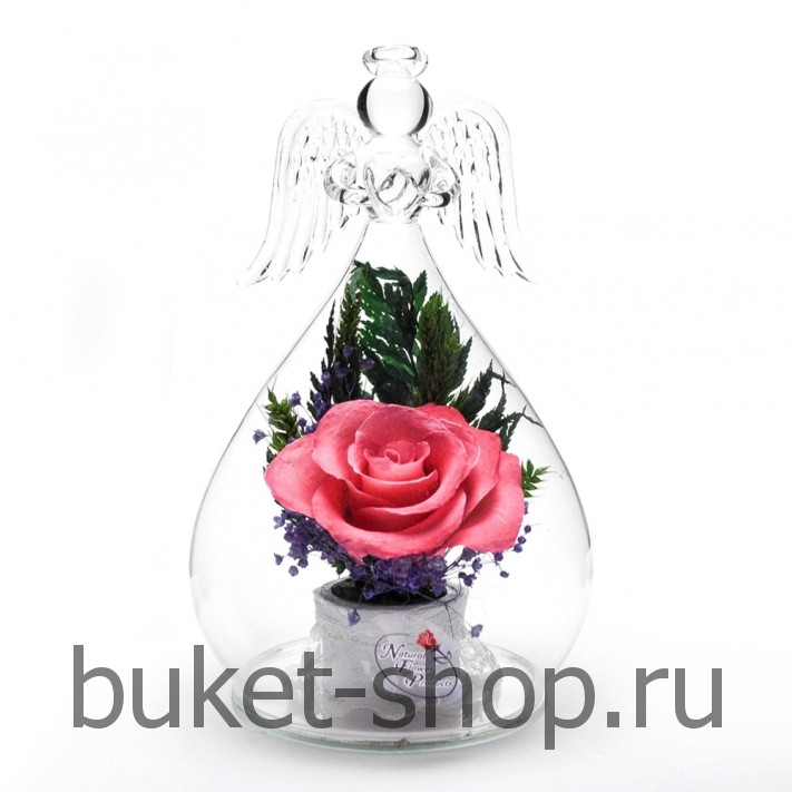 ���������� � ������� �� ����� ������. ����. �������� ������ BUKET-SHOP.RU