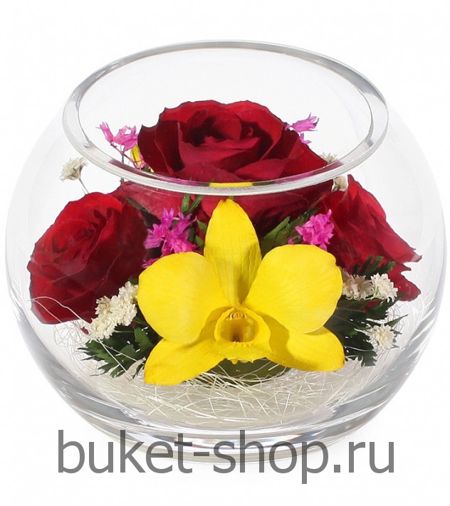 ����, �������. . �������� ������ BUKET-SHOP.RU