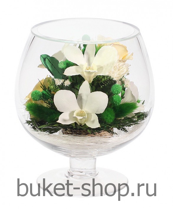 �������. . �������� ������ BUKET-SHOP.RU