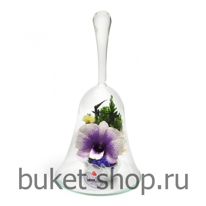 �������. . �������� ������ BUKET-SHOP.RU