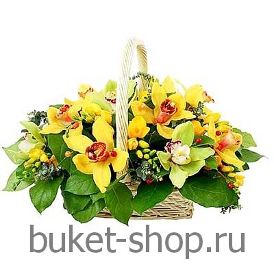 ���������. �������, ������. �������� ������ BUKET-SHOP.RU