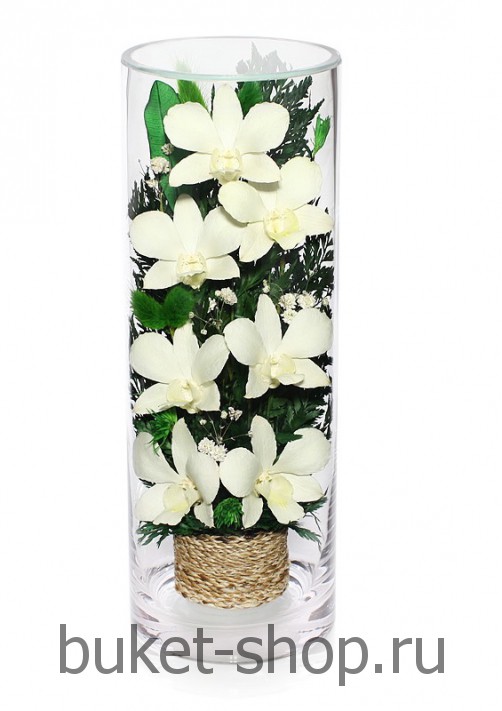 �������. . �������� ������ BUKET-SHOP.RU