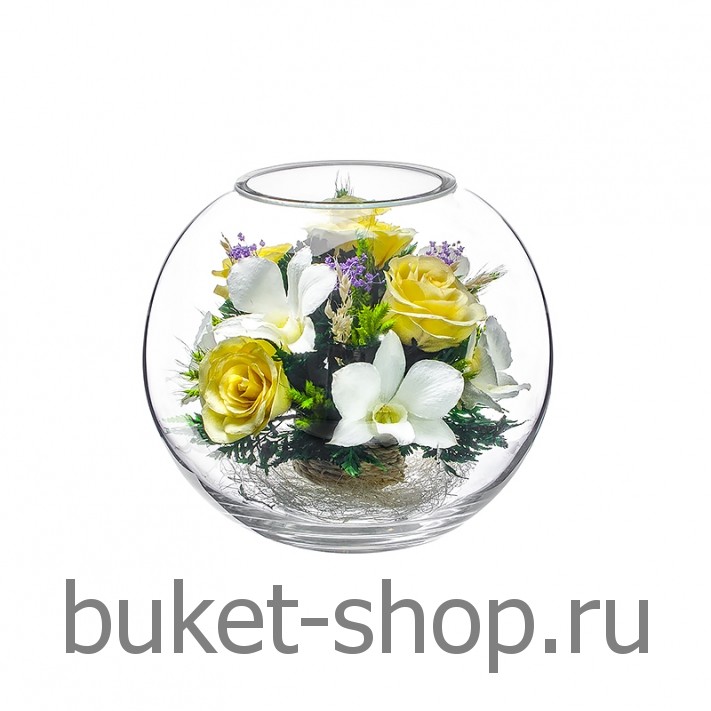����, �������. . �������� ������ BUKET-SHOP.RU