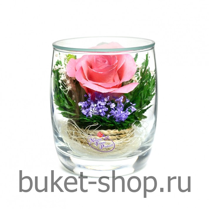 ����. . �������� ������ BUKET-SHOP.RU
