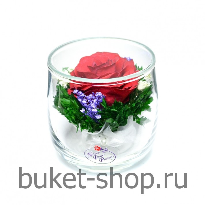      . .   BUKET-SHOP.RU