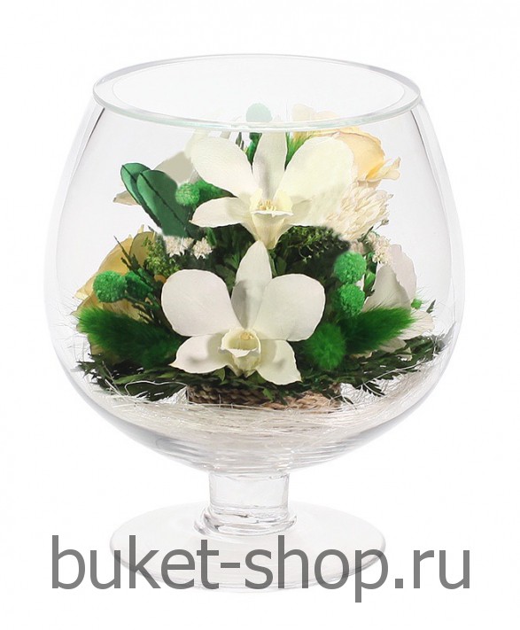       . , .   BUKET-SHOP.RU