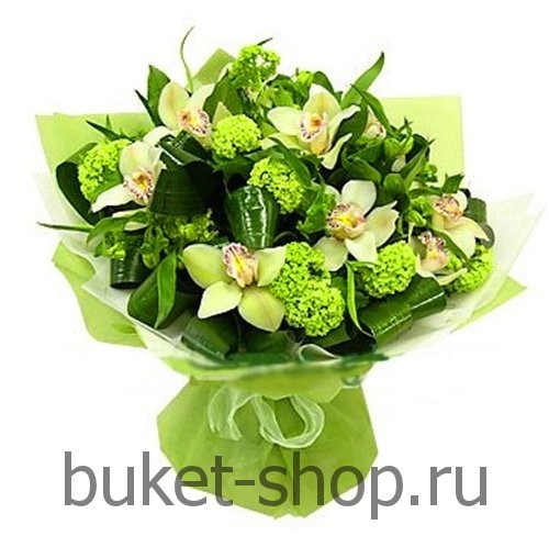 . , .   BUKET-SHOP.RU