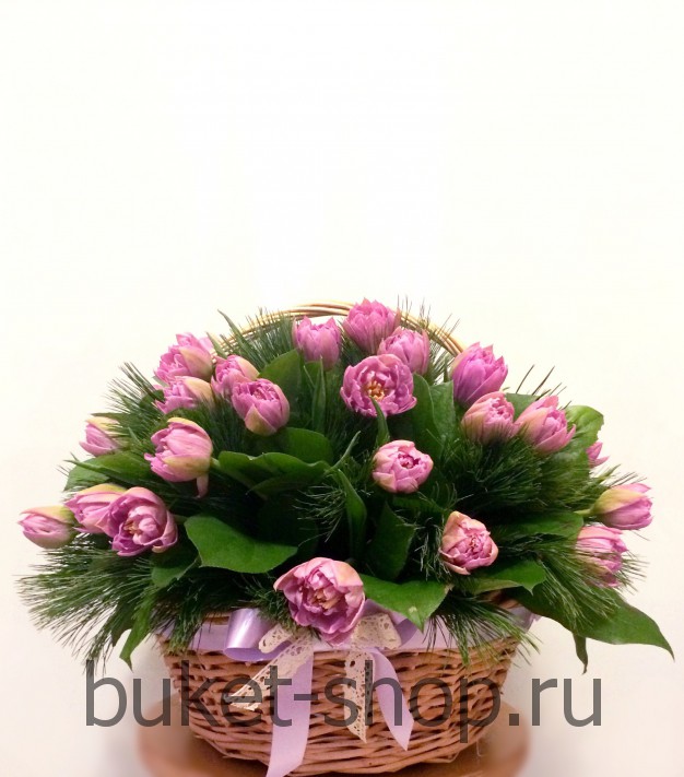 ������� ��������� ���������. �������� 49 ��, �����, �����.. �������� ������ BUKET-SHOP.RU