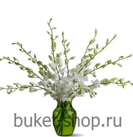 . .   BUKET-SHOP.RU