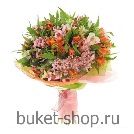  . .   BUKET-SHOP.RU