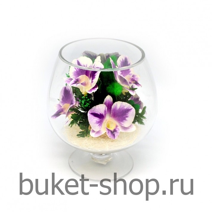 �������. . �������� ������ BUKET-SHOP.RU