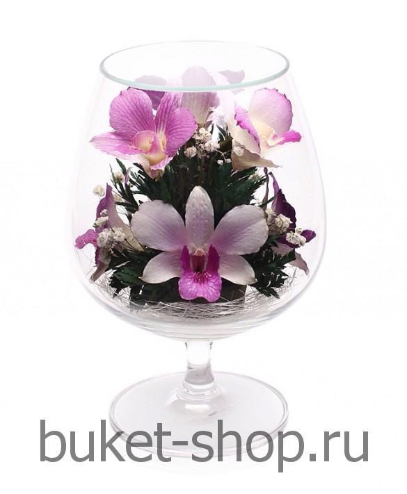 �������. . �������� ������ BUKET-SHOP.RU