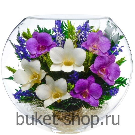      . .   BUKET-SHOP.RU