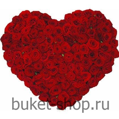   101   . .   BUKET-SHOP.RU