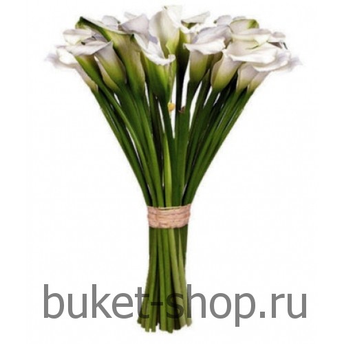 �����. �����. �������� ������ BUKET-SHOP.RU