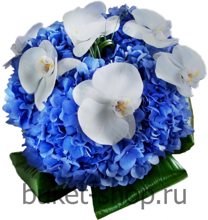 ����� ������� �49. �������, ���������. �������� ������ BUKET-SHOP.RU